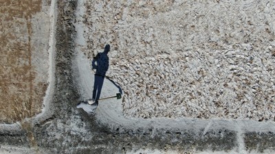 Küresel ısınma kaynak tuzlarını tehdit ediyor